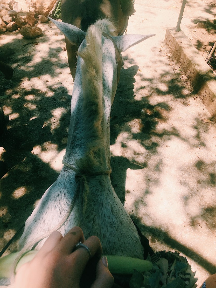 Processed with VSCO with c1 preset