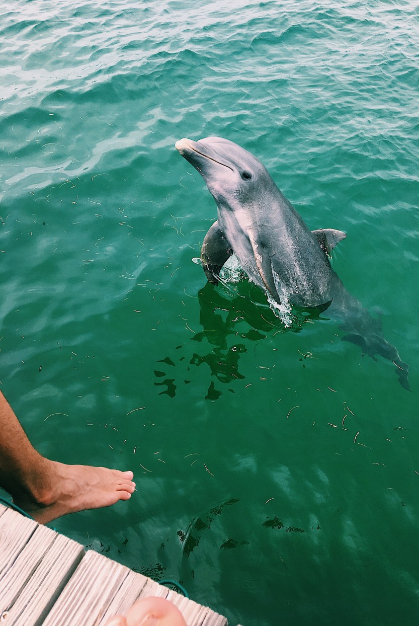 Processed with VSCO with c1 preset