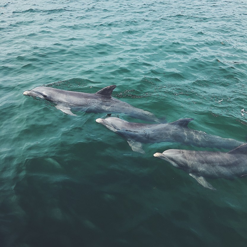 Processed with VSCO with f2 preset