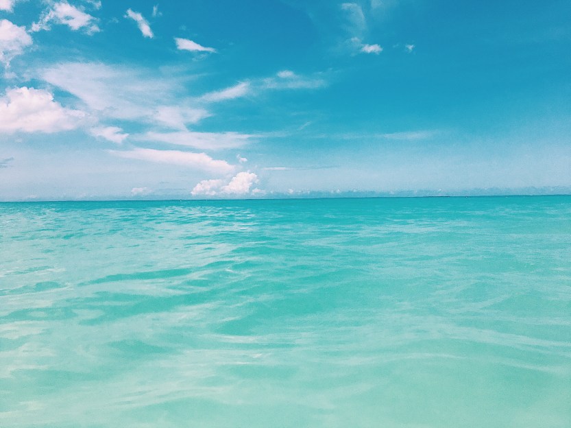 Processed with VSCO with c1 preset