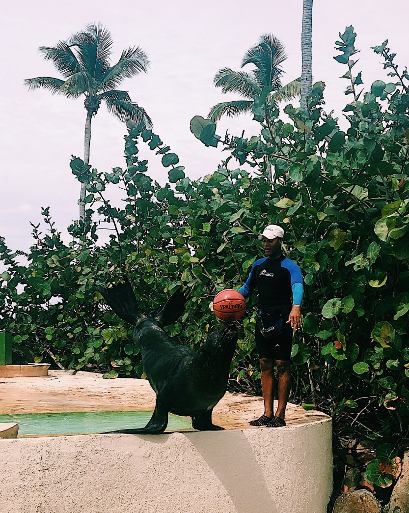 Processed with VSCO with c1 preset