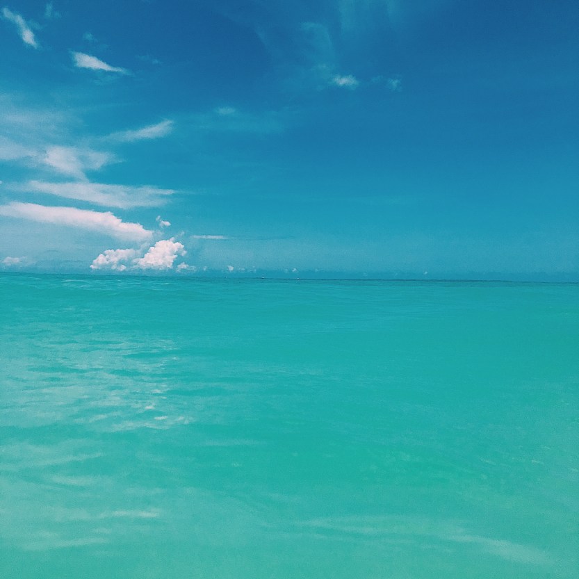 Processed with VSCO with c1 preset