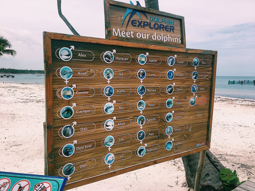 Processed with VSCO with c1 preset