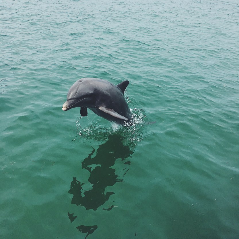 Processed with VSCO with f2 preset